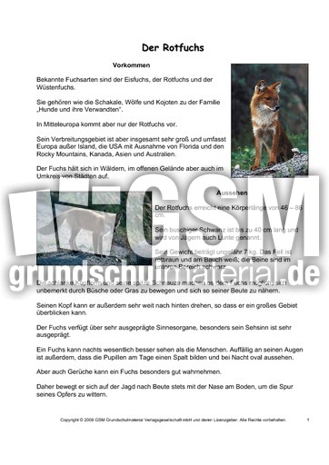 5 steckbrief hund klasse Steckbrief Tierbeschreibung